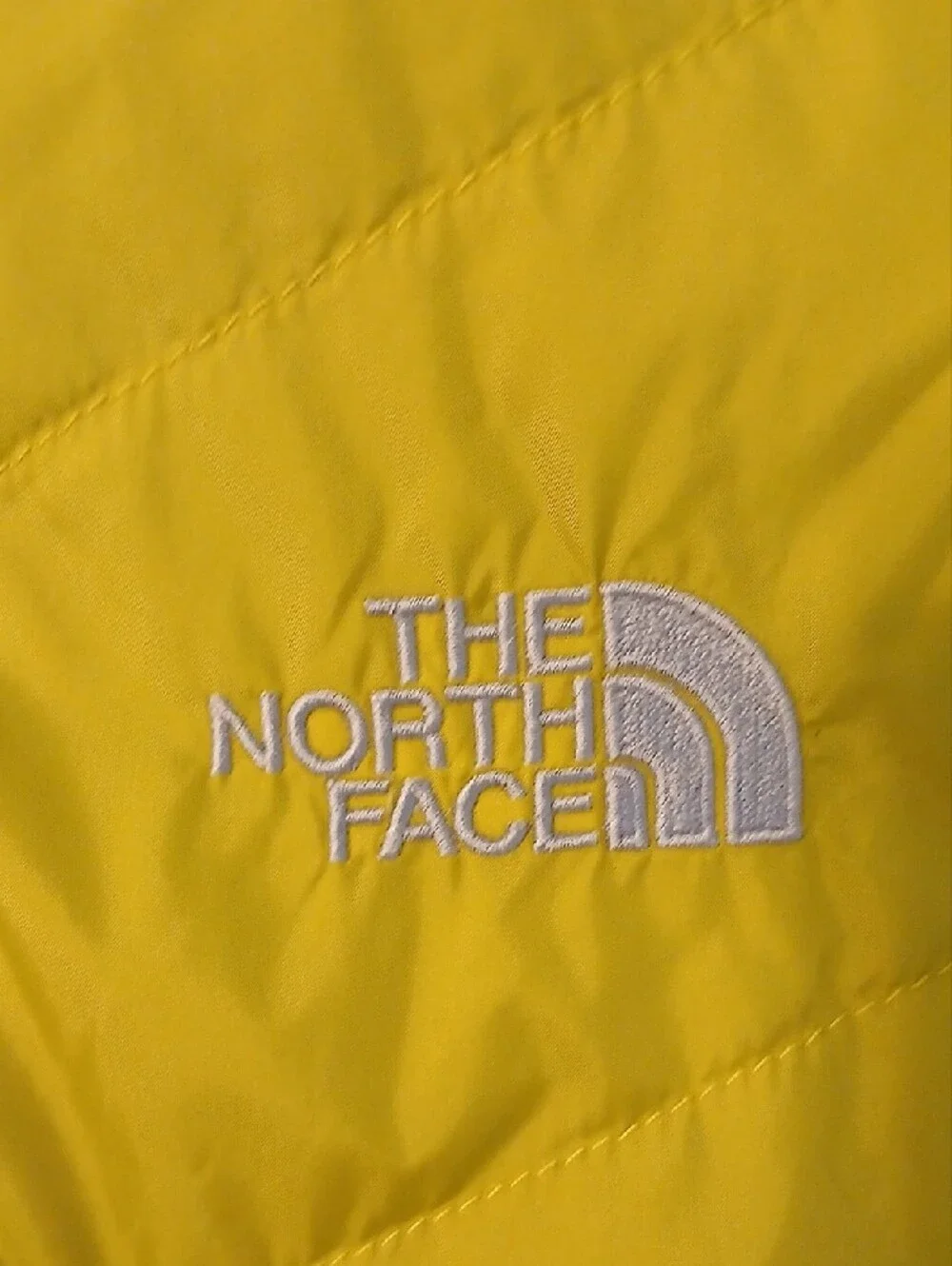 The North Face north face